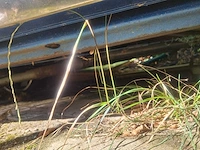 Cheverolet el camino 350 cu 5.7 oldtimer - afbeelding 7 van  15