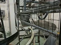 Chicken gas stunning and crate washer line - afbeelding 52 van  85