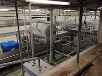 Chicken gas stunning and crate washer line - afbeelding 45 van  85