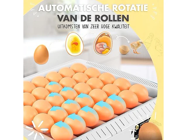 Chikers broedmachine - afbeelding 4 van  5