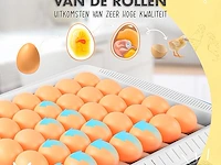 Chikers broedmachine - afbeelding 4 van  5