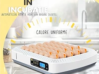 Chikers broedmachine - afbeelding 5 van  5