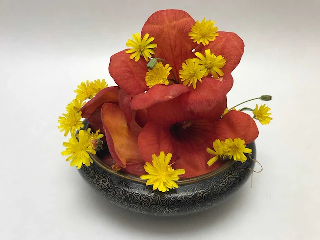 Chinese cloissoné detailed bowl - afbeelding 13 van  22