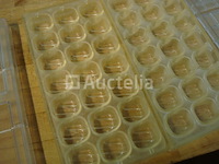 Chocoma 1 pralinévormen