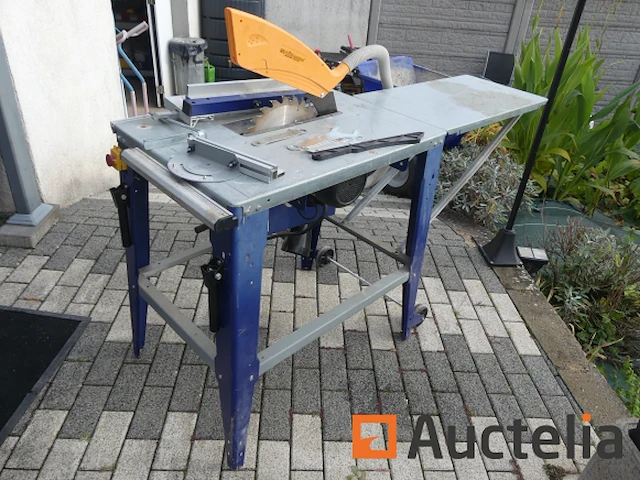 Cirkelzaag elektro maschinen tsem315 top lione - afbeelding 8 van  11