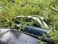 Citroen c3 pluriel - afbeelding 1 van  3