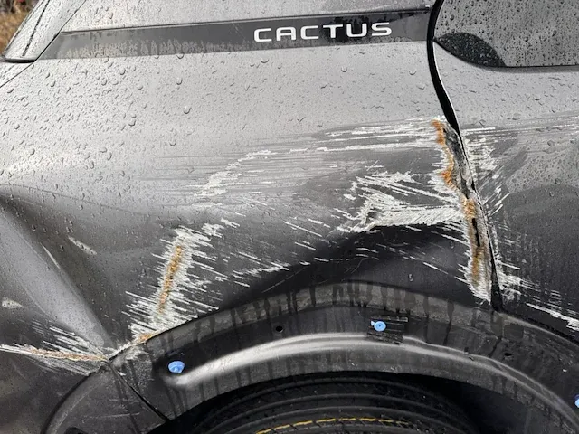 Citroen c4 cactus puretech feel 110, 2019 - afbeelding 29 van  34