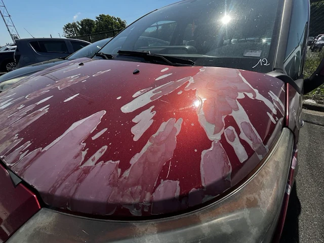 Citroen picasso, 2010 - afbeelding 18 van  46