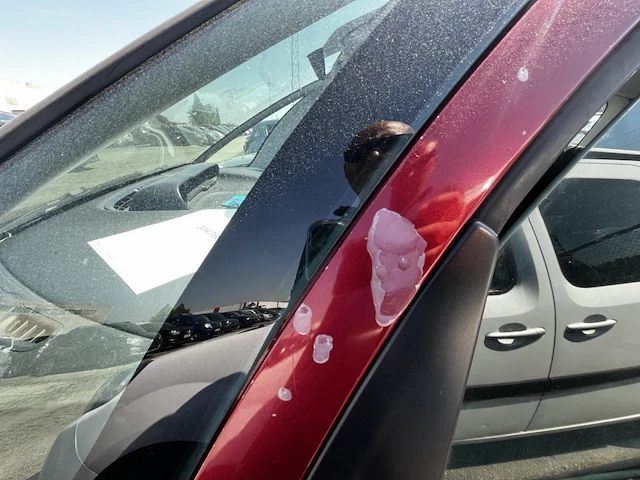 Citroen picasso, 2010 - afbeelding 40 van  46
