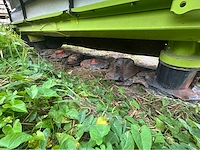 Claas - 2024 - 3200f profiel f95 - landbouw diversen - afbeelding 11 van  13