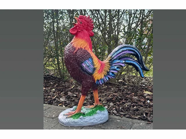 Cock h70cm x l65cm - afbeelding 1 van  1