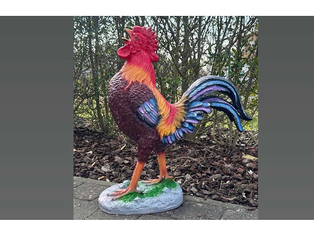 Cock h70cm x l65cm - afbeelding 1 van  1