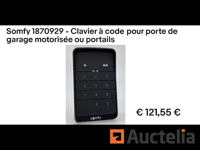 Codetoetsenbord voor gemotoriseerde garagedeuren of poorten somfy 1870929 - afbeelding 1 van  1
