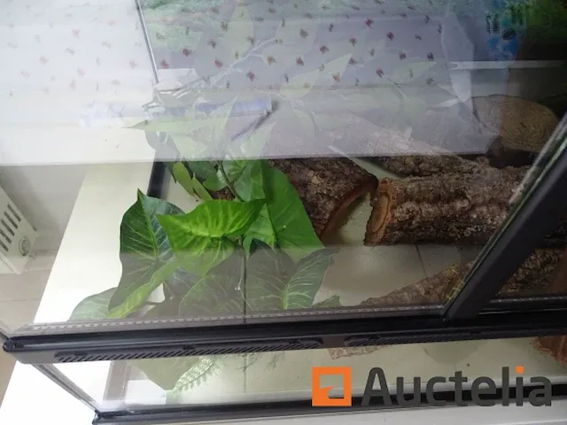 Compleet vivarium op een meubilair inbegrepen - afbeelding 2 van  21