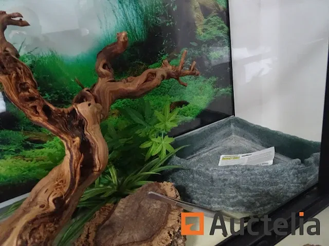 Compleet vivarium op een meubilair inbegrepen - afbeelding 8 van  21