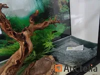 Compleet vivarium op een meubilair inbegrepen - afbeelding 8 van  21