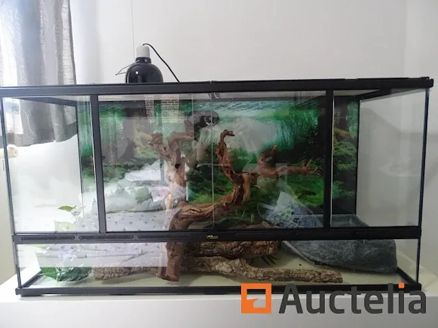 Compleet vivarium op een meubilair inbegrepen - afbeelding 9 van  21