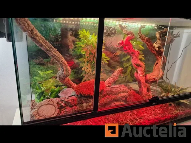 Compleet vivarium op een meubilair inbegrepen - afbeelding 1 van  21