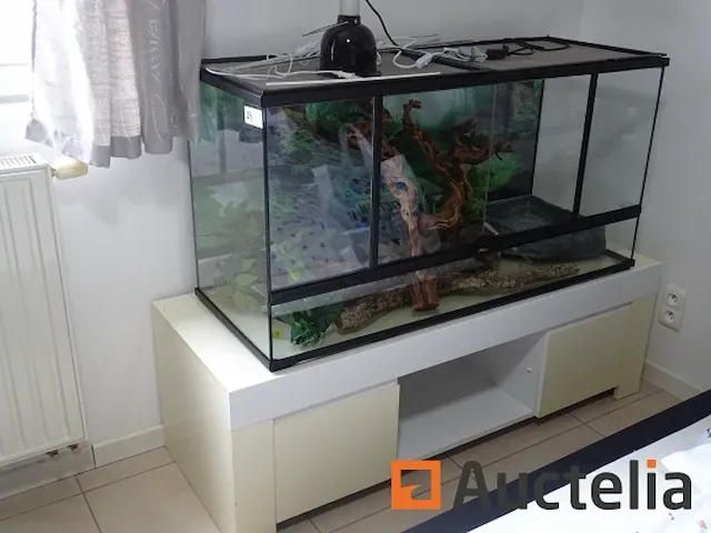 Compleet vivarium op een meubilair inbegrepen - afbeelding 12 van  21