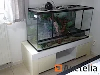Compleet vivarium op een meubilair inbegrepen - afbeelding 12 van  21