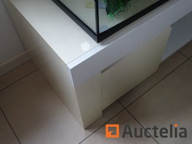 Compleet vivarium op een meubilair inbegrepen - afbeelding 15 van  21