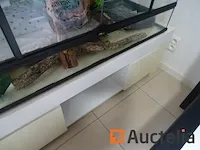 Compleet vivarium op een meubilair inbegrepen - afbeelding 16 van  21