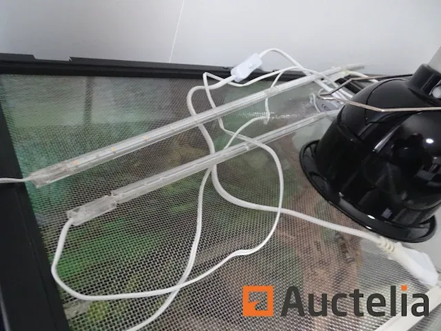 Compleet vivarium op een meubilair inbegrepen - afbeelding 17 van  21