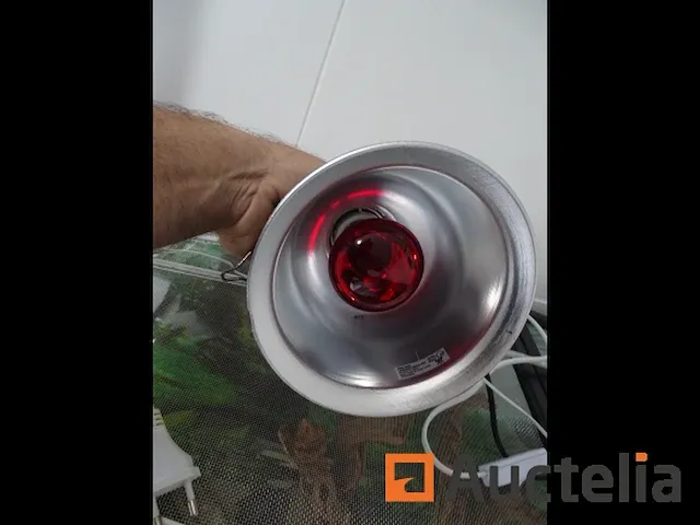 Compleet vivarium op een meubilair inbegrepen - afbeelding 18 van  21