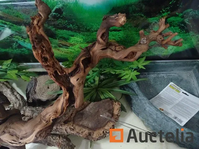 Compleet vivarium op een meubilair inbegrepen - afbeelding 19 van  21