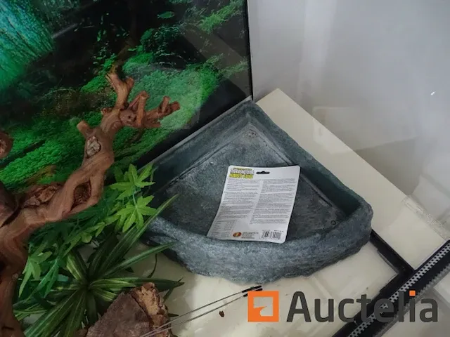 Compleet vivarium op een meubilair inbegrepen - afbeelding 20 van  21