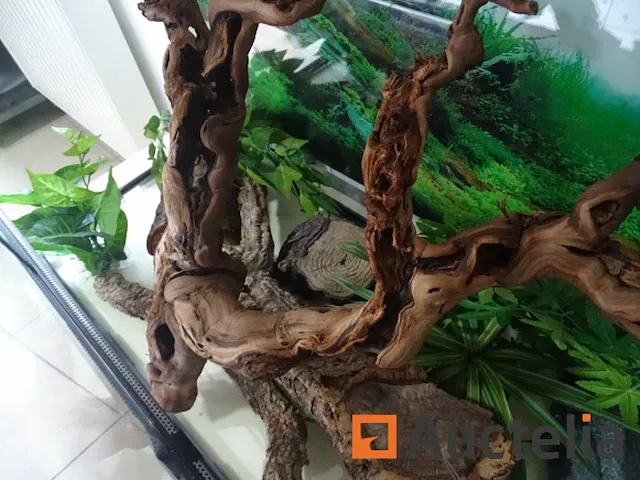 Compleet vivarium op een meubilair inbegrepen - afbeelding 21 van  21