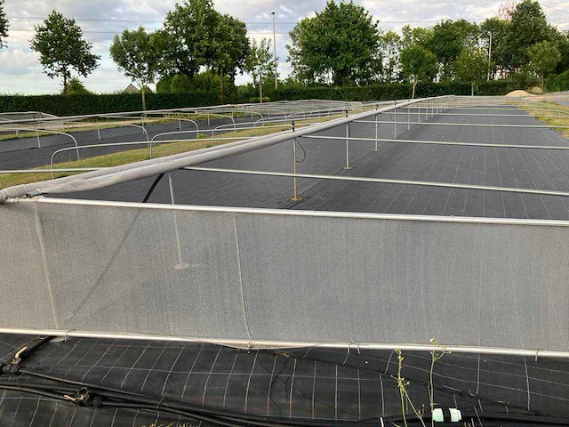 Complete tunnelserre overige teeltmateriaal; - afbeelding 23 van  25
