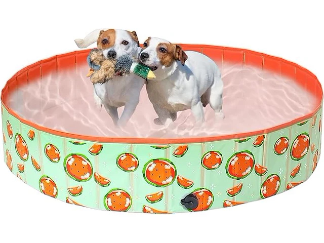 Comsle hard zwembad voor grote honden - afbeelding 1 van  4