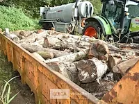 Container hout (l21) ± 9m3 - afbeelding 2 van  2