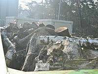 Container hout - afbeelding 1 van  4