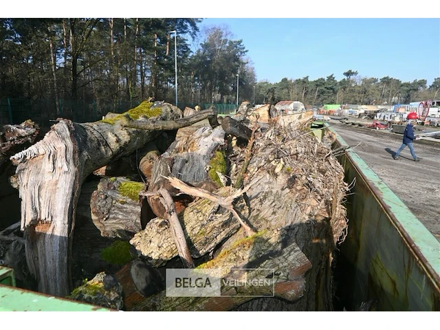 Container hout - afbeelding 2 van  4
