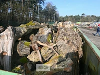 Container hout - afbeelding 2 van  4