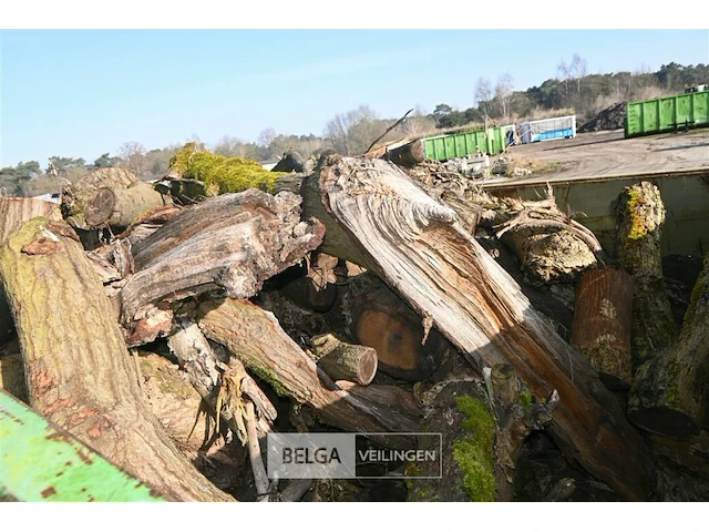 Container hout - afbeelding 3 van  4