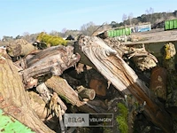Container hout - afbeelding 3 van  4