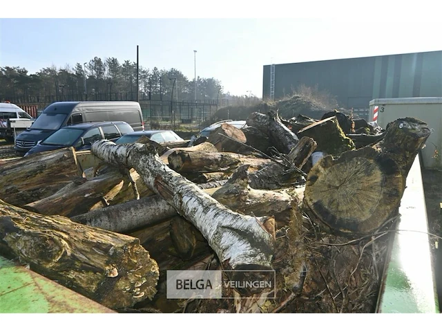 Container hout - afbeelding 4 van  4