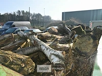 Container hout - afbeelding 4 van  4