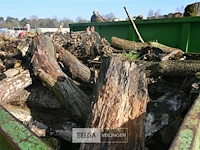 Container hout - afbeelding 2 van  4