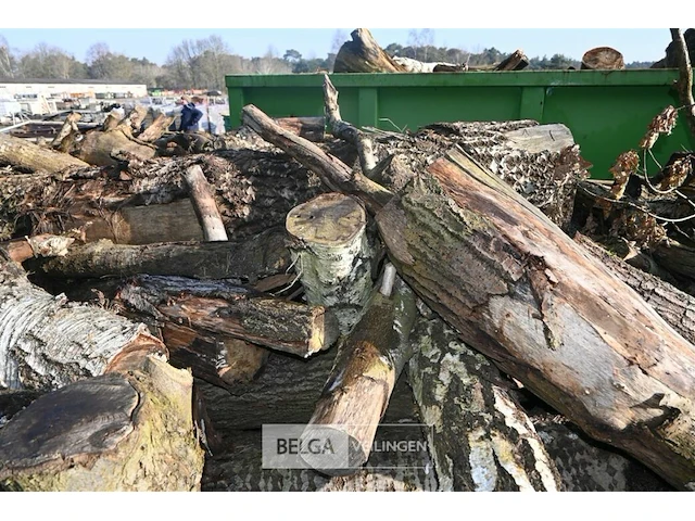 Container hout - afbeelding 3 van  4