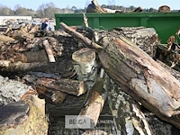 Container hout - afbeelding 3 van  4