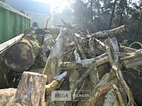 Container hout - afbeelding 4 van  4