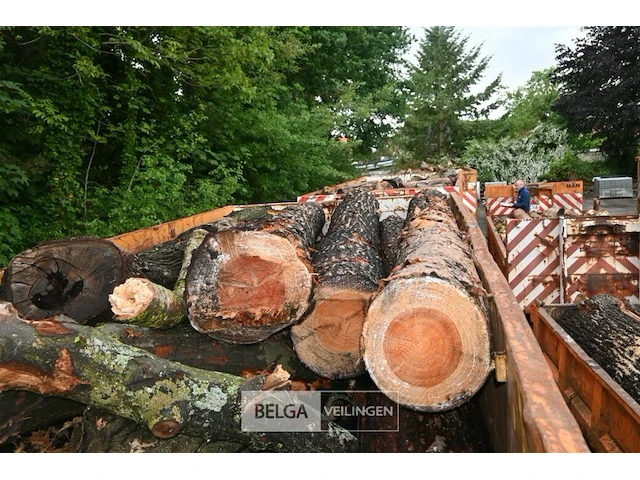 Container hout - afbeelding 1 van  4