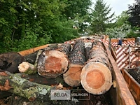 Container hout - afbeelding 1 van  4