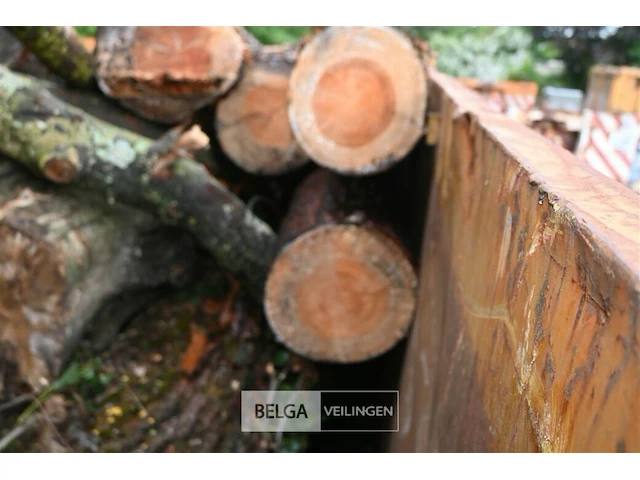 Container hout - afbeelding 3 van  4