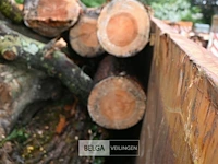 Container hout - afbeelding 3 van  4