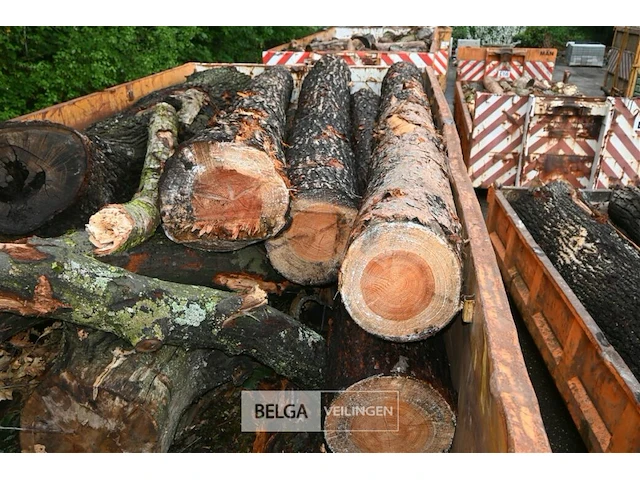 Container hout - afbeelding 4 van  4